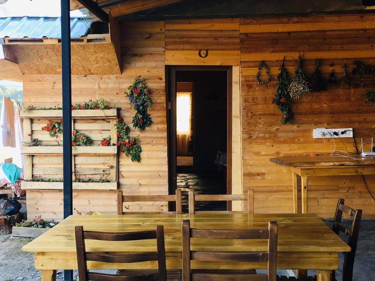 Guesthouse Omalo Luaran gambar
